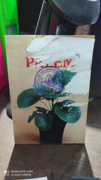 Image of PALEM
